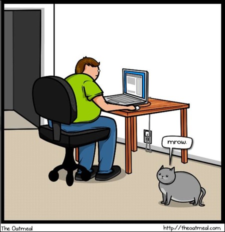cat vs internet