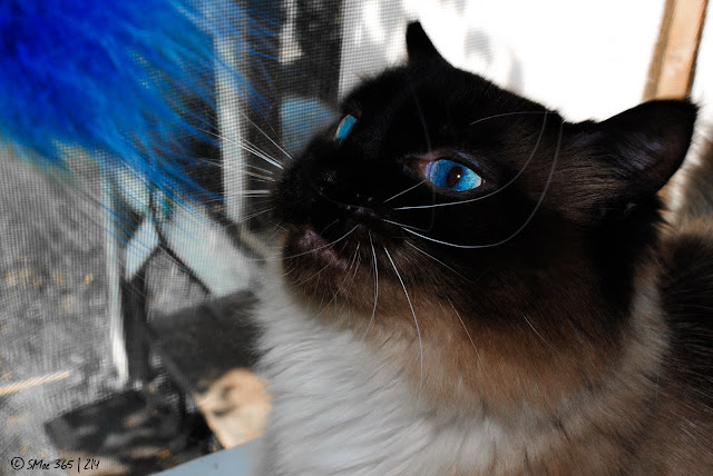 NIKON D3000 1/60s Focal Length: 32.0mm f/10.0 ISO: 200 (M)