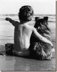 cão e garoto