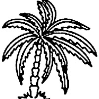 palmera1.jpg