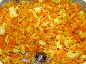 P1000760 P1000760