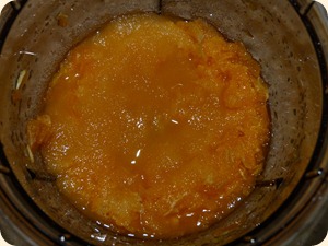 P1000767 P1000767