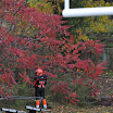 DSC_8490.JPG