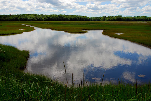 rachel carson conservation park