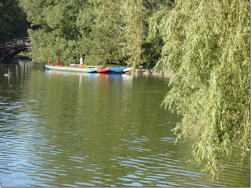 Dragon Boats at Rest