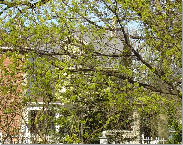 Spring is in the air!