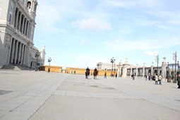 IMG_4931 IMG_4931