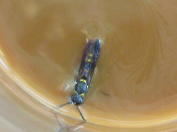 PAMATOVKA%2009-10%20751.jpg