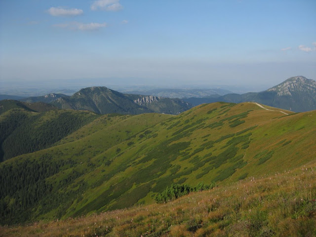 ZVEROVKA%2009%20326.jpg