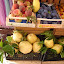 DSC00028.jpg