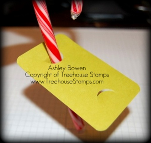 [Putting candy cane in[4].jpg]