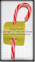 Candy Cane in tag