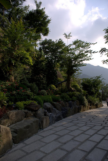 DSC02479.jpg