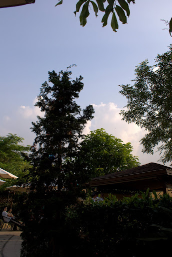 DSC02489.jpg
