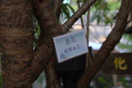 大部分的植物都特別標上了名稱