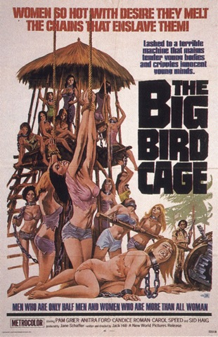 [big-bird-cage[3].jpg]