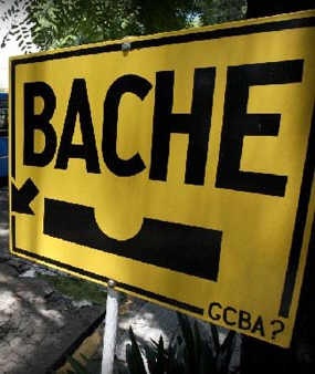 [bache2[2].jpg]