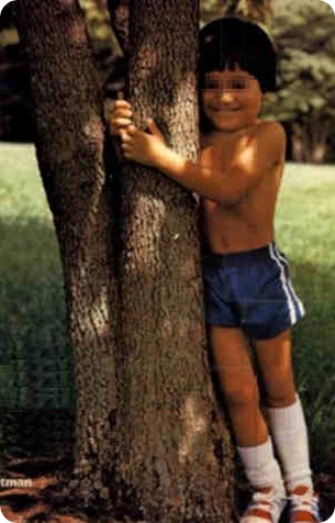 día del arbol día del arbol