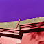  DG1