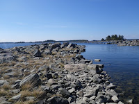 IMGP0042.JPG Photo