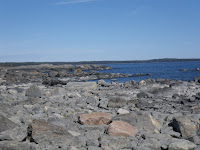 IMGP0048.JPG Photo