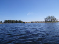 IMGP0051.JPG Photo
