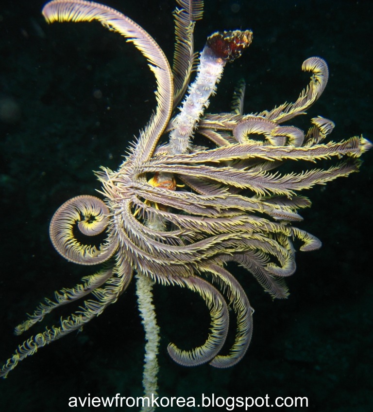 [DiveSite2_281280x7682.jpg]