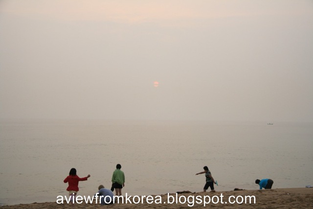 [IMG_81991024x7685.jpg]