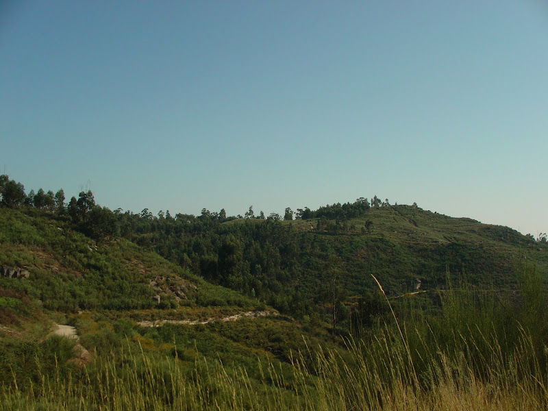 Volta pela Brenha 04-07-2010 009.jpg Photo