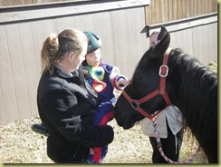 Grifyn hippotherapy 006