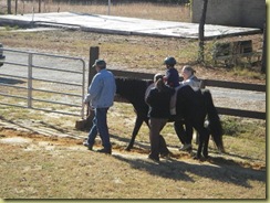 Grifyn hippotherapy 009