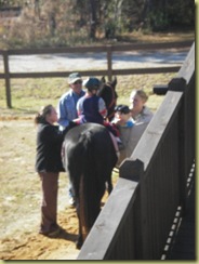Grifyn hippotherapy 013