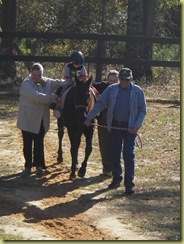 Grifyn hippotherapy 011