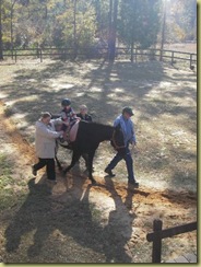 Grifyn hippotherapy 012