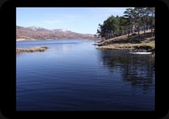 2010-04-11 2010-04-11