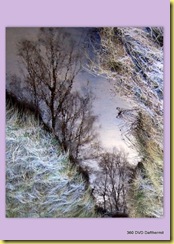 reflection1