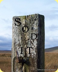 fence post 004