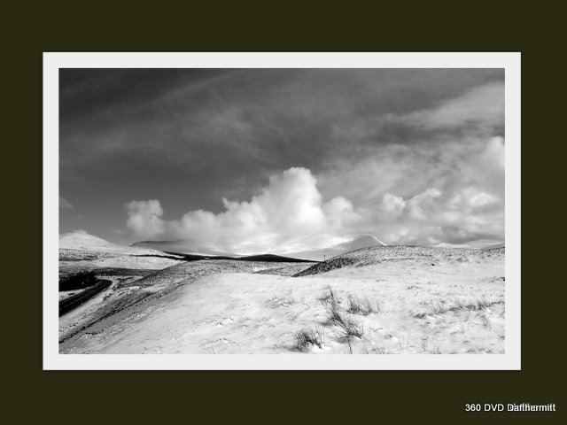 [20090304moor2.jpg]