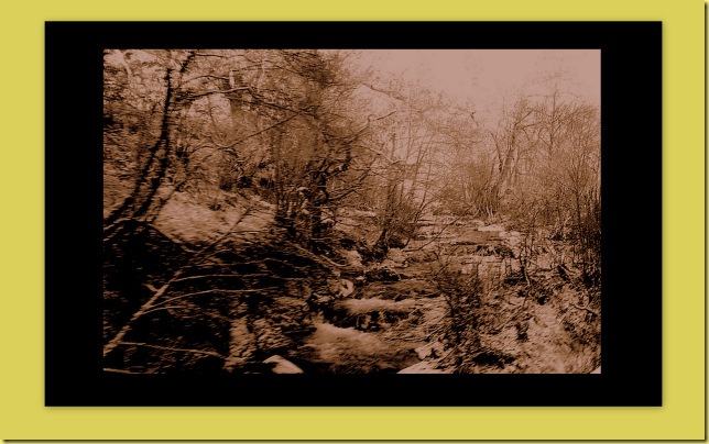 Collages
