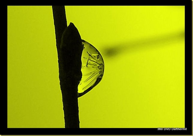 reflection