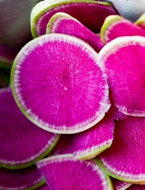 watermelon-radish
