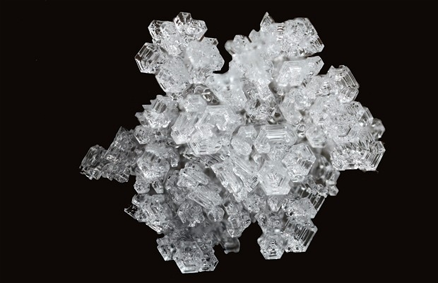 Macro_xioni-5.jpg