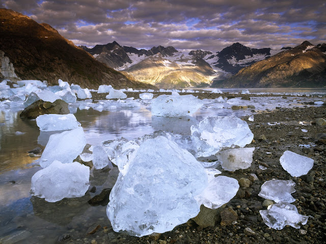 Hivers Johns%20Hopkins%20Inlet%2C%20Glacier%20Bay%20National%20Park%2C%20Alaska