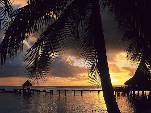 Rangiroa%2C%20Tuamotu%20Archipelago%2C%20French%20Polynesia