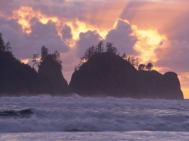 First%20Beach%2C%20Olympic%20National%20Park%2C%20Washington