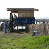 Hide #1 Swarovski Optik / Pferdekoppel Illmitz &ndash; 24-Apr-2010