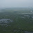 vast reed belt &ndash; 26-Jun-2009