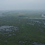 vast reed belt &ndash; 26-Jun-2009