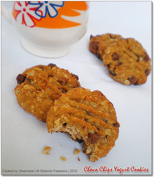 Choco Chip Yogurt Cookies Choco Chip Yogurt Cookies