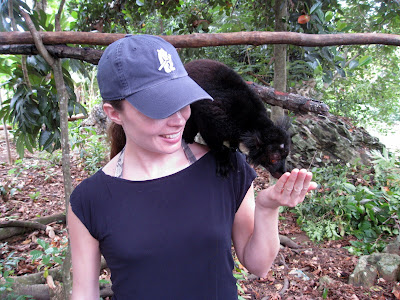 Feeding lemurs in Madagascar